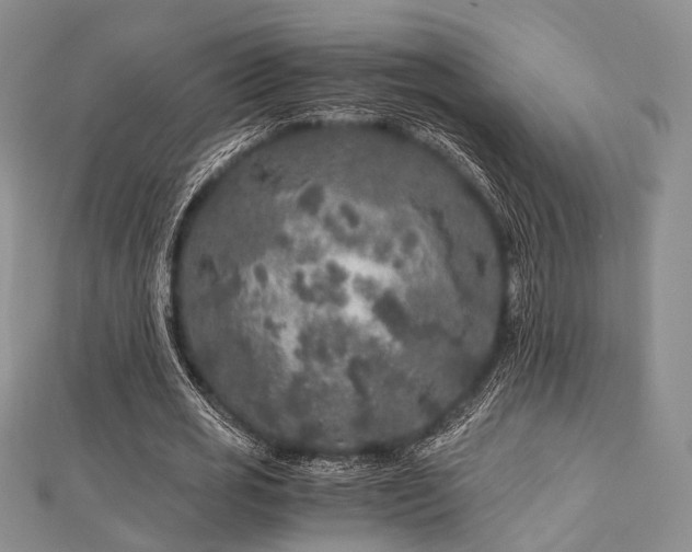 X0000112900725200908211516
