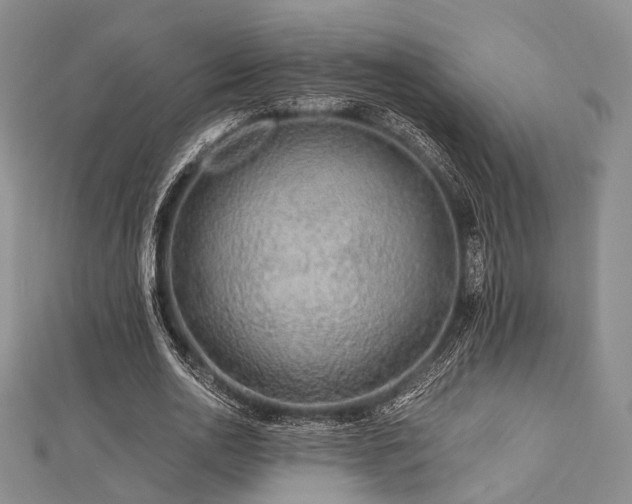 X0000112900726200908211516