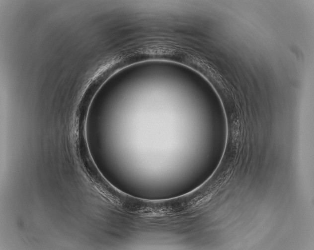 X0000112900727200908211516