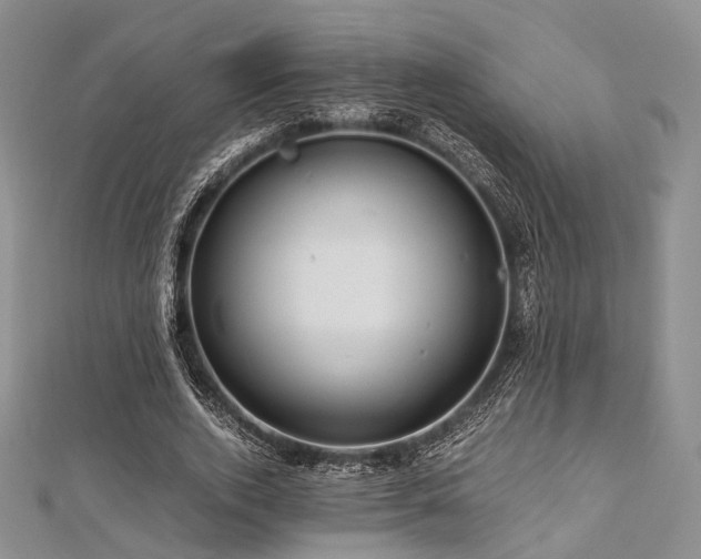 X0000112900728200908211516