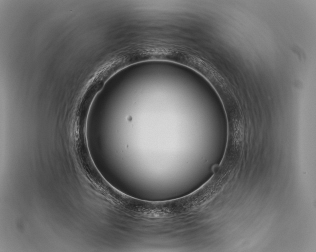 X0000112900731200908211516