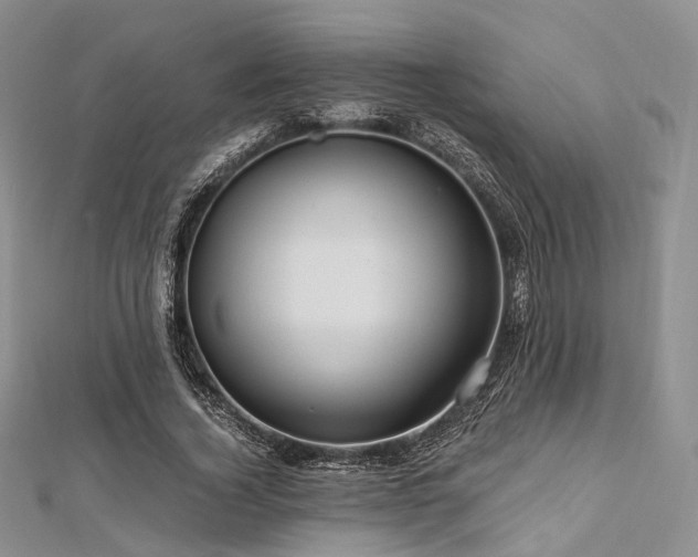 X0000112900732200908211516
