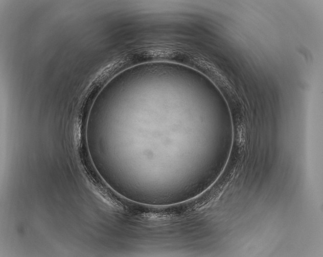 X0000112900733200908211516