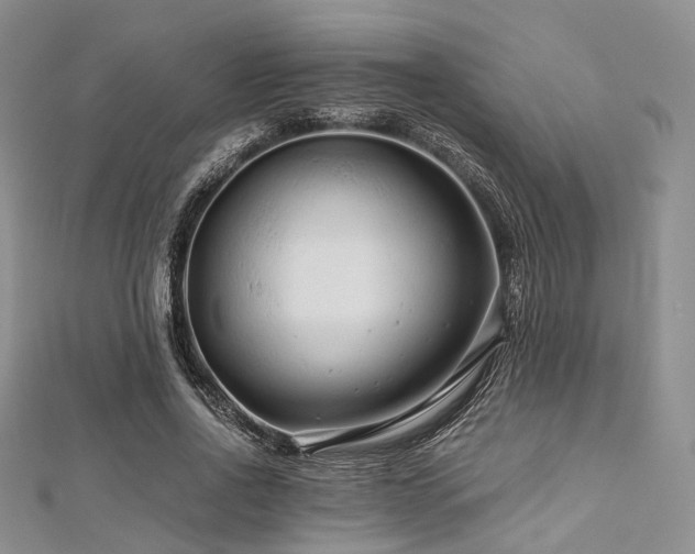 X0000112900734200908211516