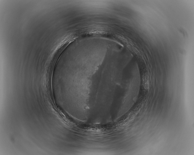 X0000112900735200908211516