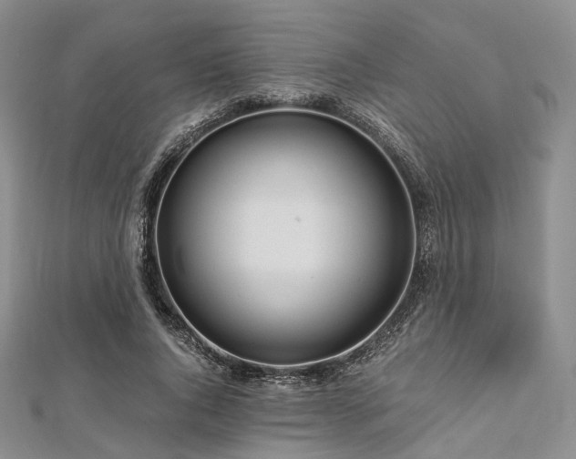 X0000112900736200908211516