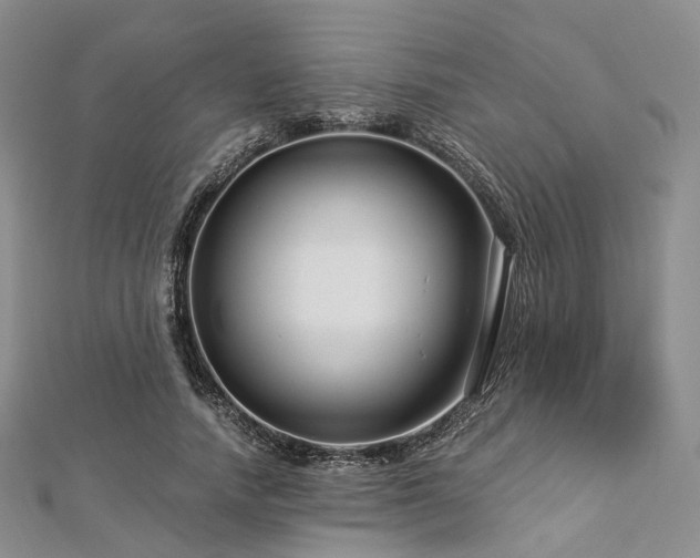 X0000112900738200908211516