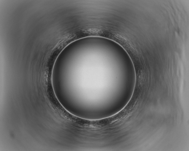 X0000112900739200908211516
