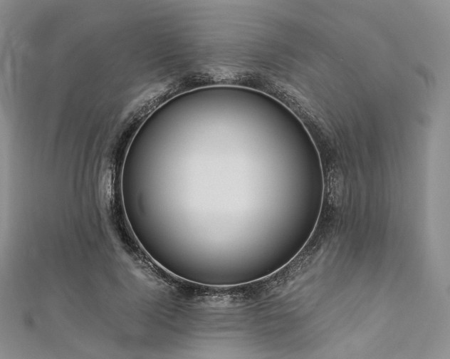 X0000112900740200908211516
