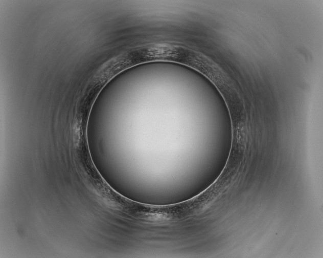 X0000112900741200908211516