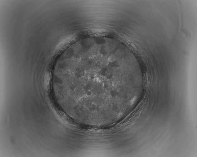 X0000112900742200908211516