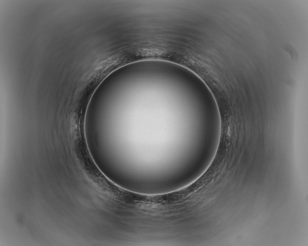 X0000112900743200908211516