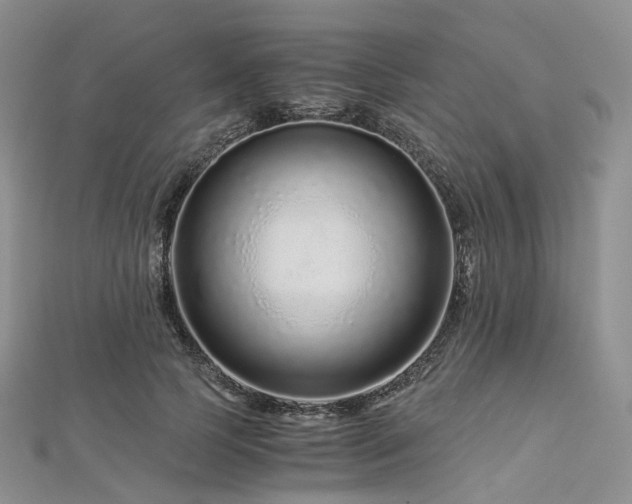 X0000112900745200908211516