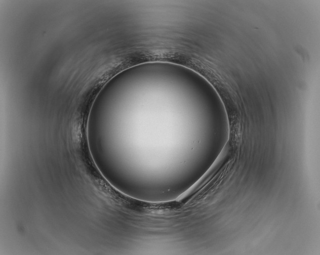 X0000112900746200908211516