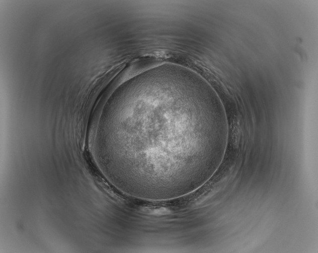X0000112900747200908211516