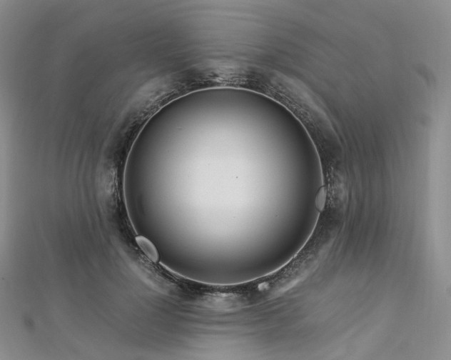 X0000112900748200908211516