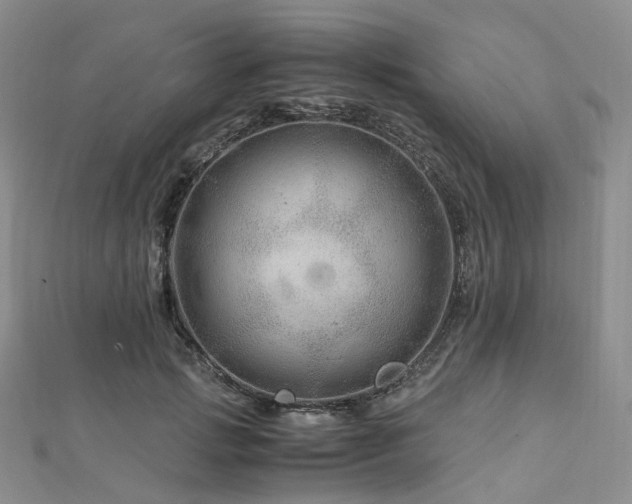 X0000112900749200908211516