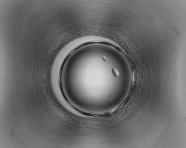 X0000112900750200908211516