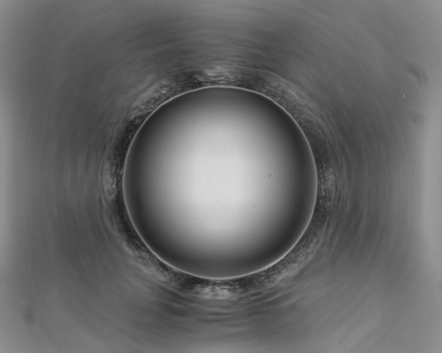 X0000112900751200908211516
