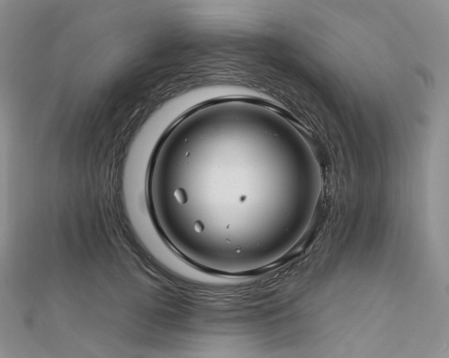 X0000112900752200908211516