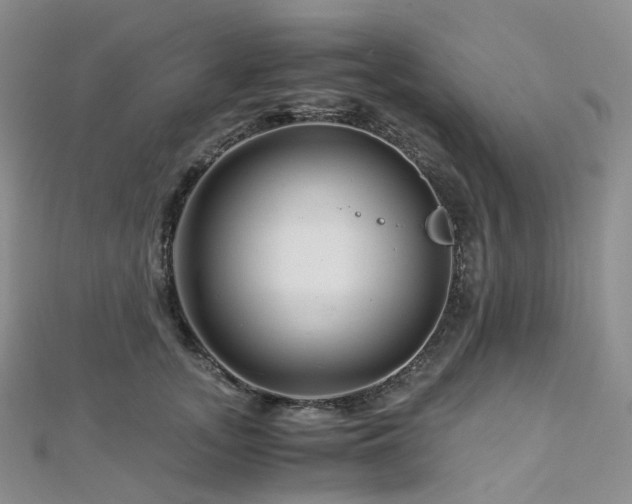 X0000112900755200908211516