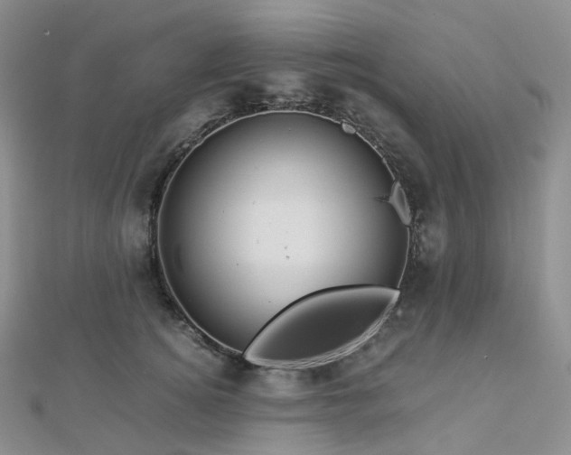 X0000112900756200908211516