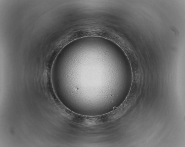 X0000112900757200908211516