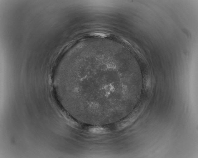X0000112900759200908211516