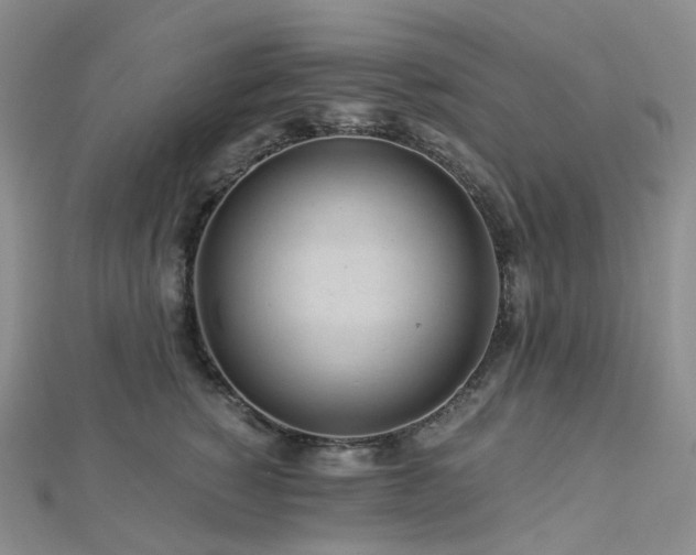 X0000112900760200908211516