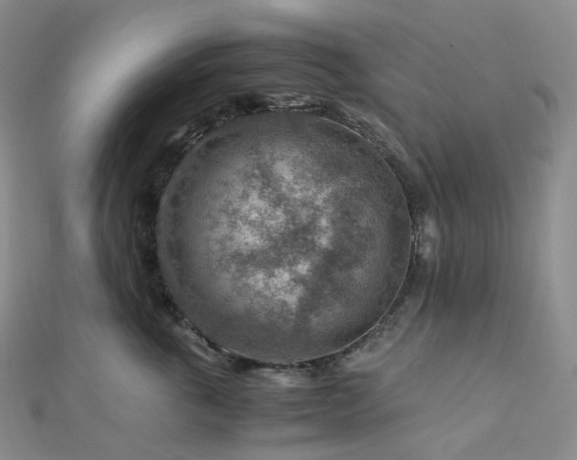 X0000112900763200908211516