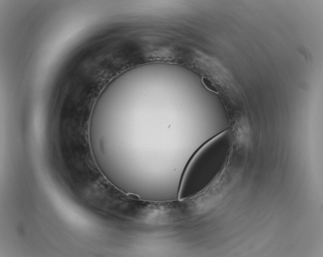 X0000112900764200908211516