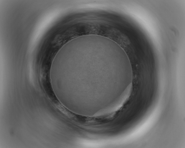 X0000112900766200908211516