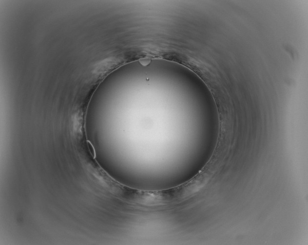 X0000112900768200908211516