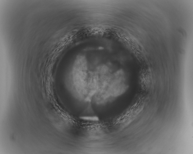 X0000112900769200908211516