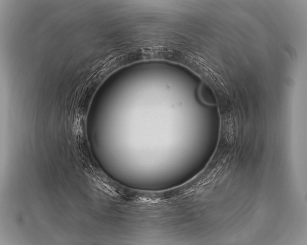 X0000112900770200908211516