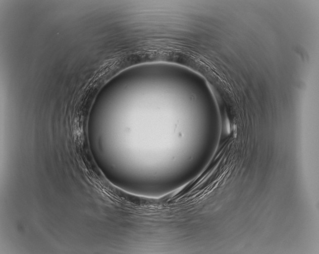 X0000112900771200908211516