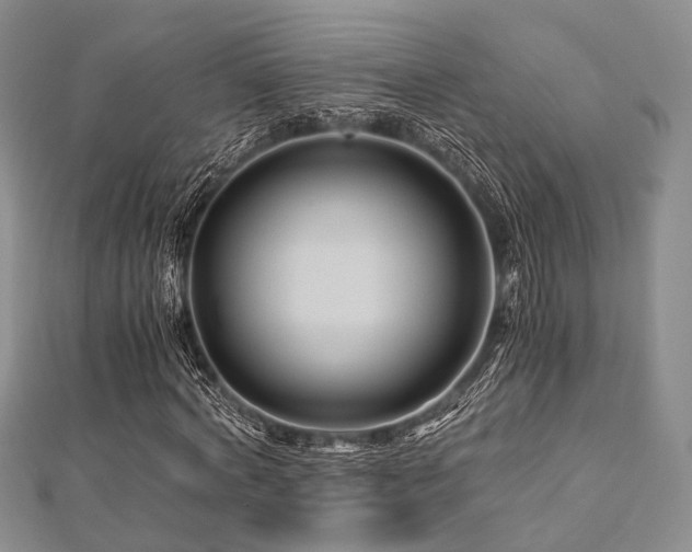 X0000112900772200908211516
