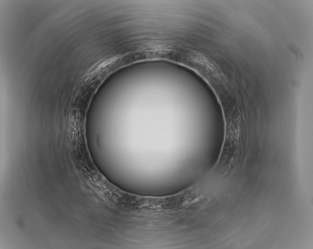 X0000112900773200908211516