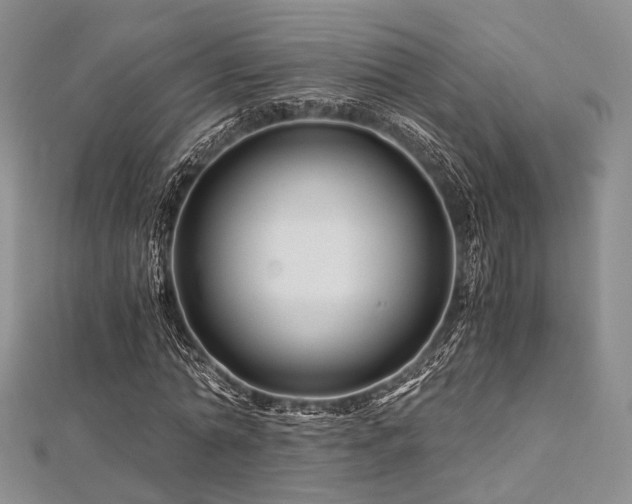 X0000112900774200908211516