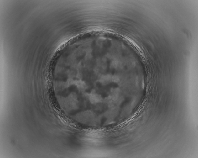 X0000112900775200908211516