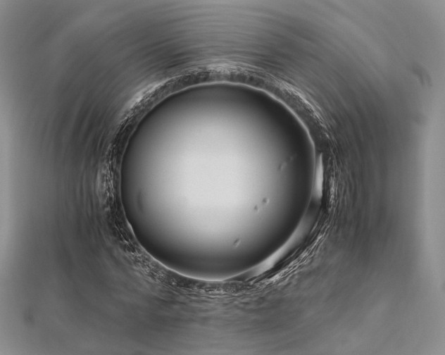 X0000112900776200908211516