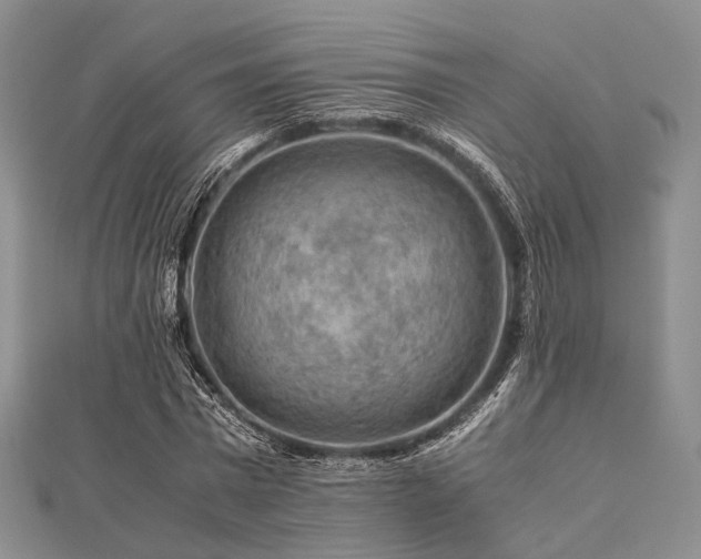 X0000112900777200908211515
