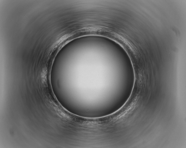 X0000112900778200908211515