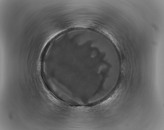 X0000112900779200908211515