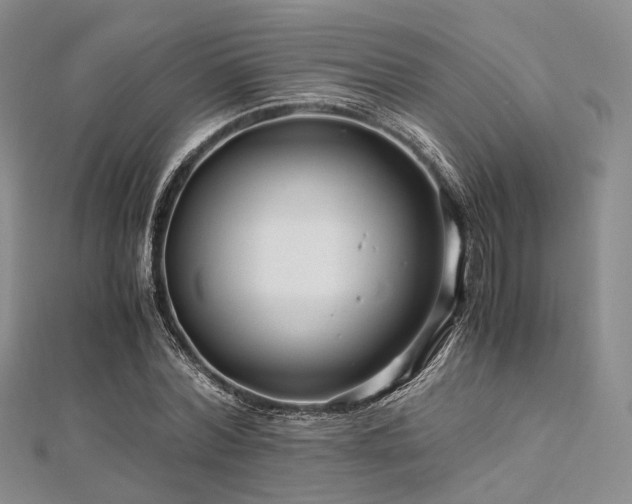 X0000112900780200908211515