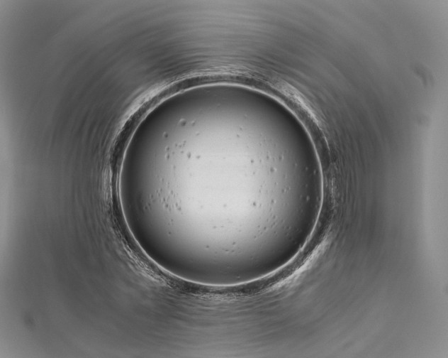 X0000112900781200908211515