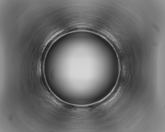 X0000112900782200908211515