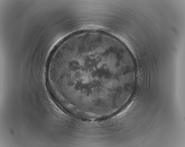 X0000112900783200908211515