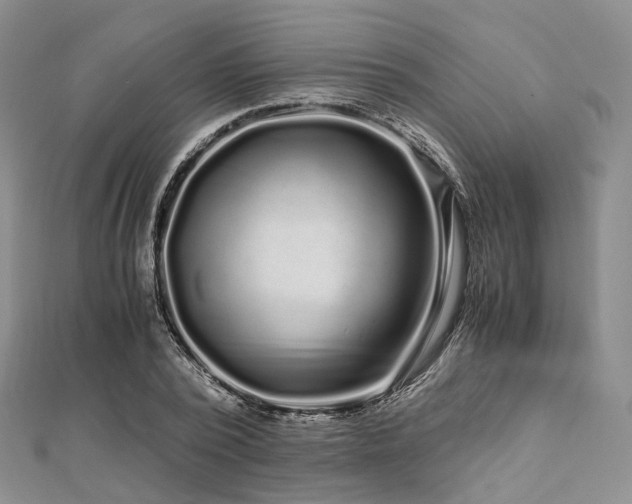 X0000112900784200908211515