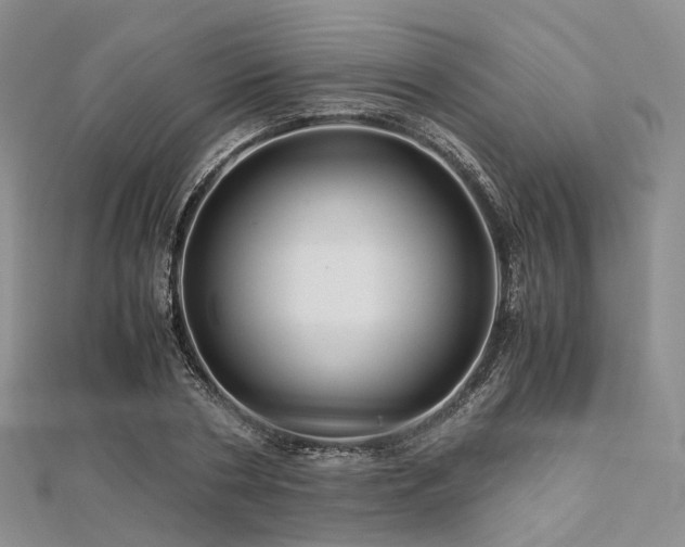 X0000112900786200908211515